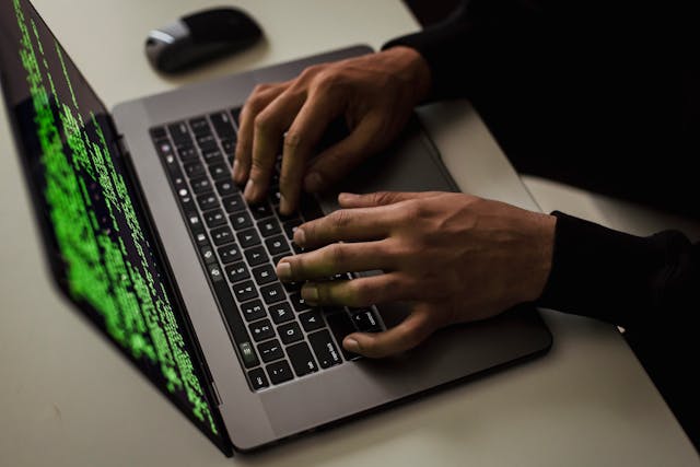 perito judicial informatico