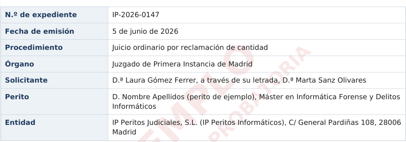 identificación informe pericial